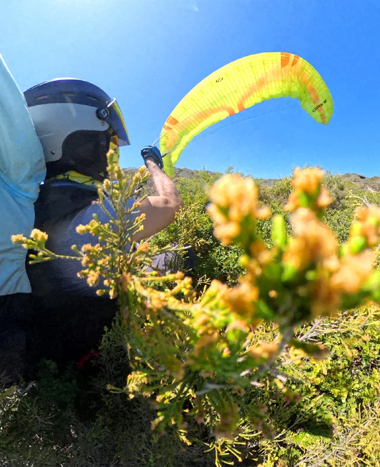 This image for Image Layouts addon